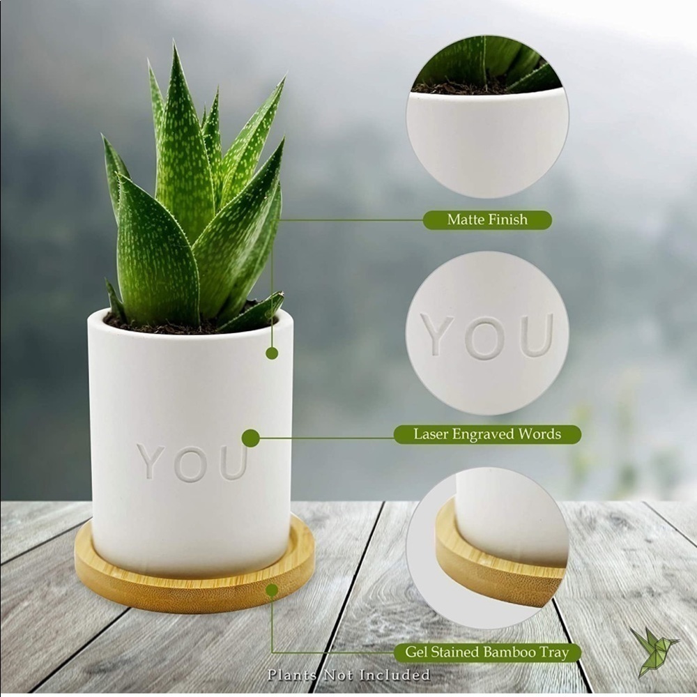 Brand New I Love You Set of 3 Ceramic Planter Pots 3.5” White w/ Bamboo Bases - Picture 9 of 12
